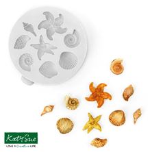 Picture of SHELLS AND STARFISH